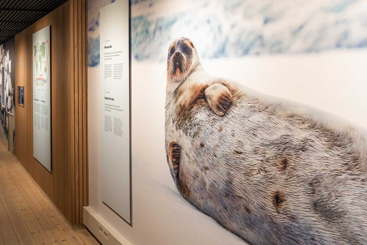 arktikumofficial Rovaniemi, Finland 3