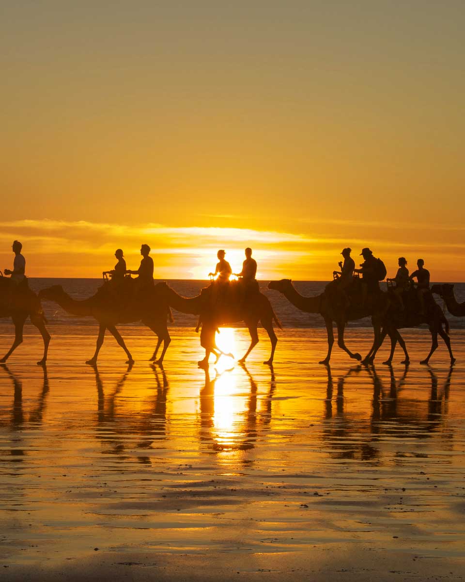Camels on the beach at sunset on a tour from Essaouira, Morocco