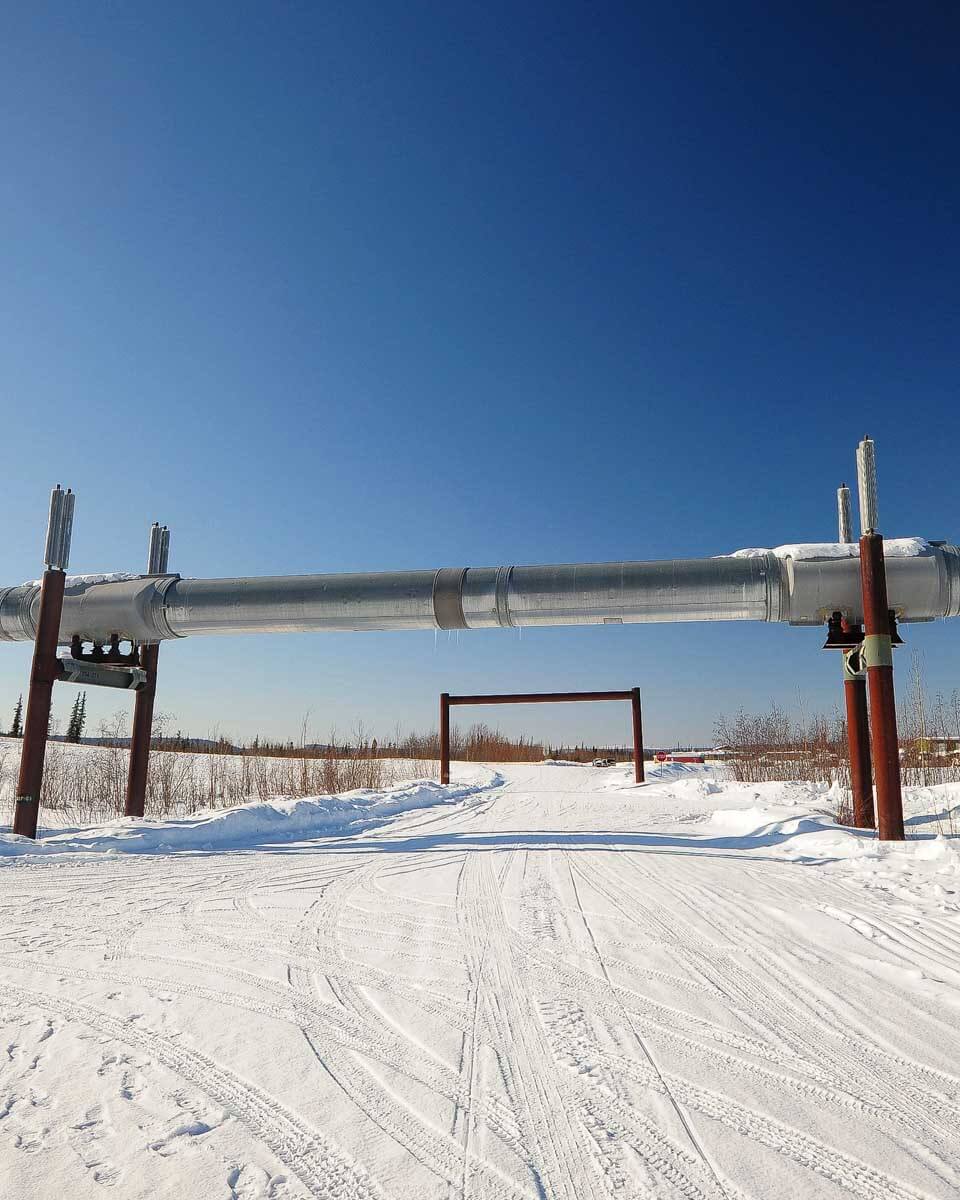 Part of the Trans-Alaskan Oil Pipeline seen on a tour from Fairbanks Alaska