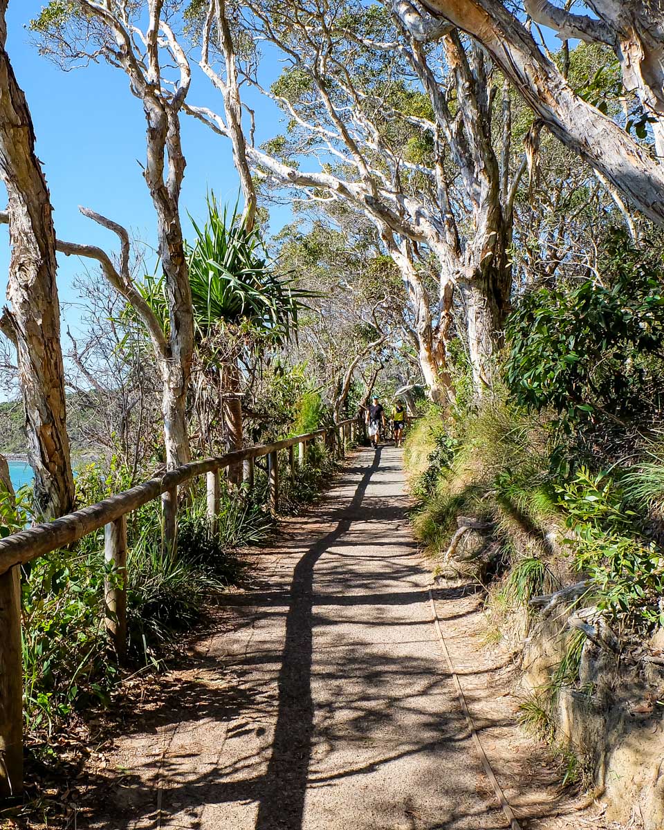 Noosa National Park Coastal Walk on the Sunshine Coast Australia (1)