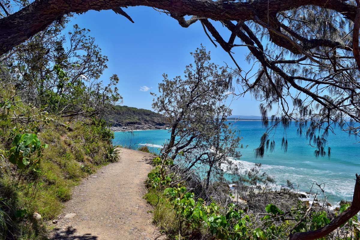 Noosa National Park sunny day near Sunshine Coast Australia