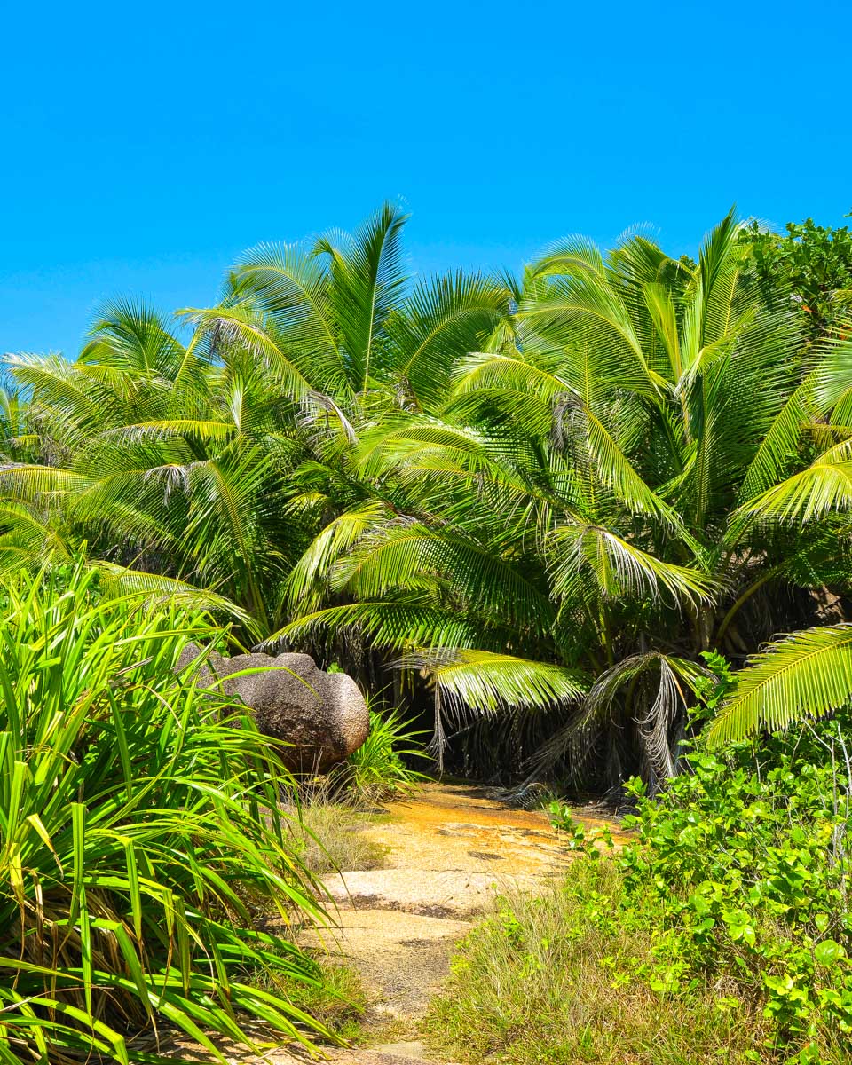 Trail near Anse Marron Beach La Digue Island Seychelles