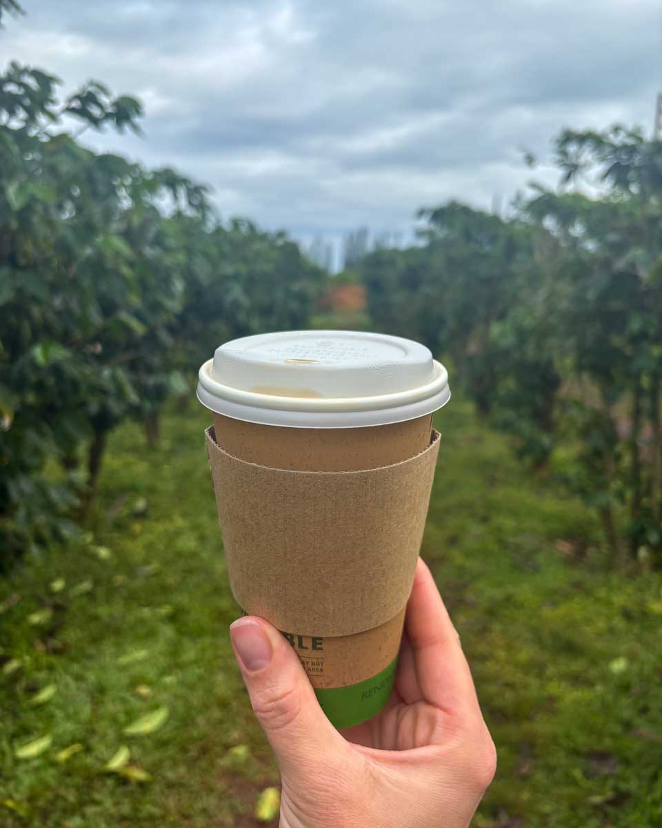 A person holds coffee at Green World Coffee Farm on Oahu North Shore Hawaii