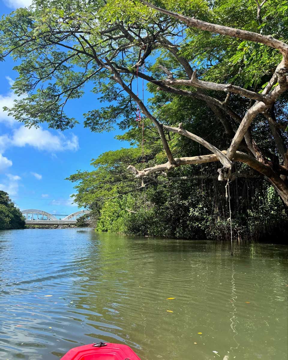 Blue Planet in North Shore Oahu Hawaii