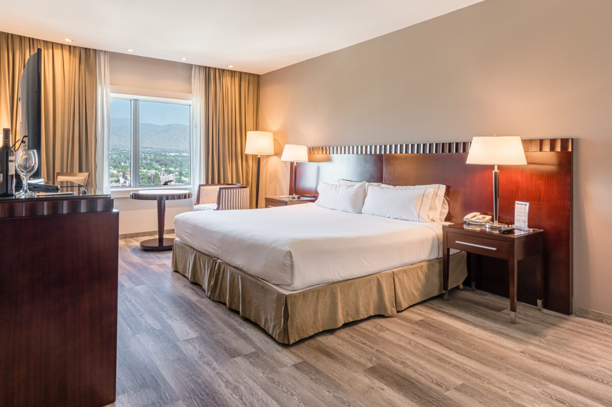 Diplomatic Hotel in Mendoza Argentina