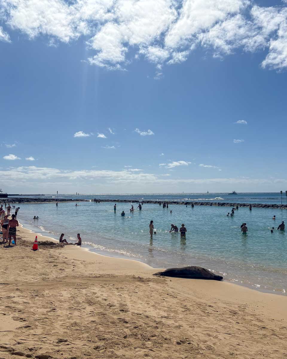 Kuhio Beach in Waikiki Honolulu Hawaii (79)