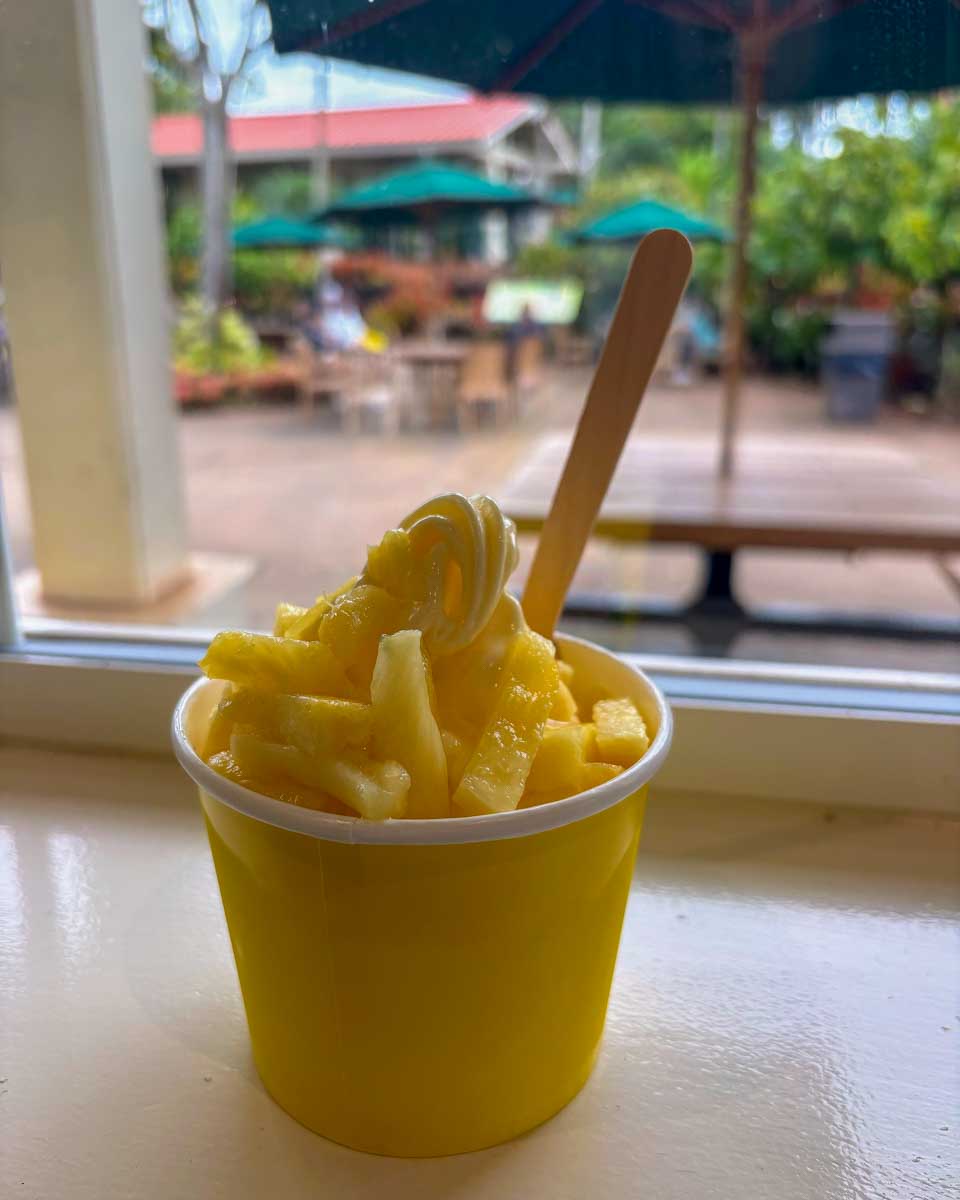 Pineapple-treat-at-Dole-in-North Shore Oahu Hawaii