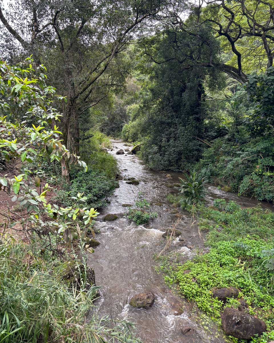 Waimea Valley on Oahu North Shore Hawaii (2)