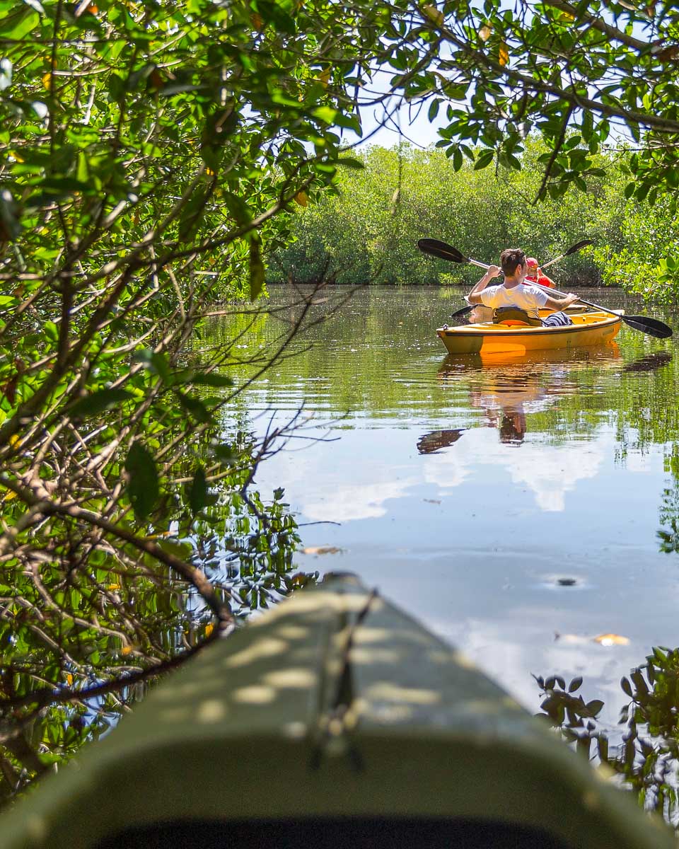 A-person-kayaks-through-mangroves-on-a-tour-from-Mauritius