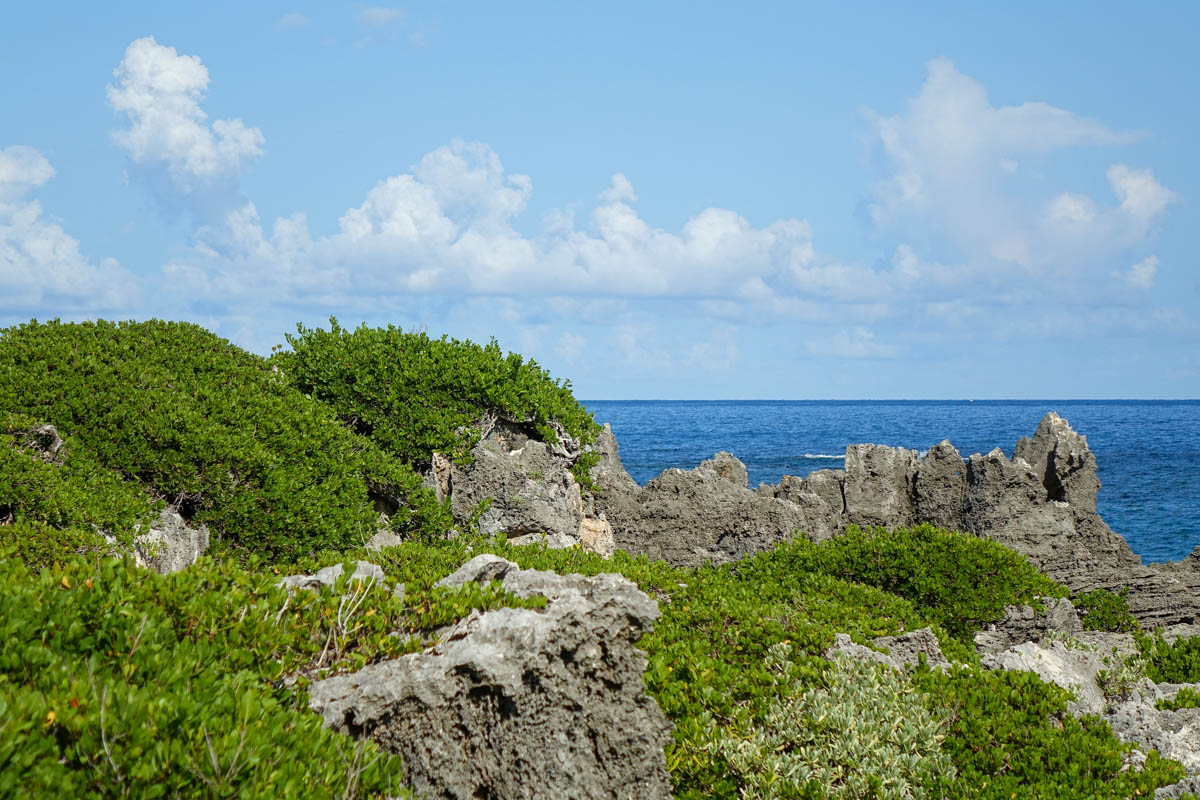 Coastline seen along Spanish Point Bermuda