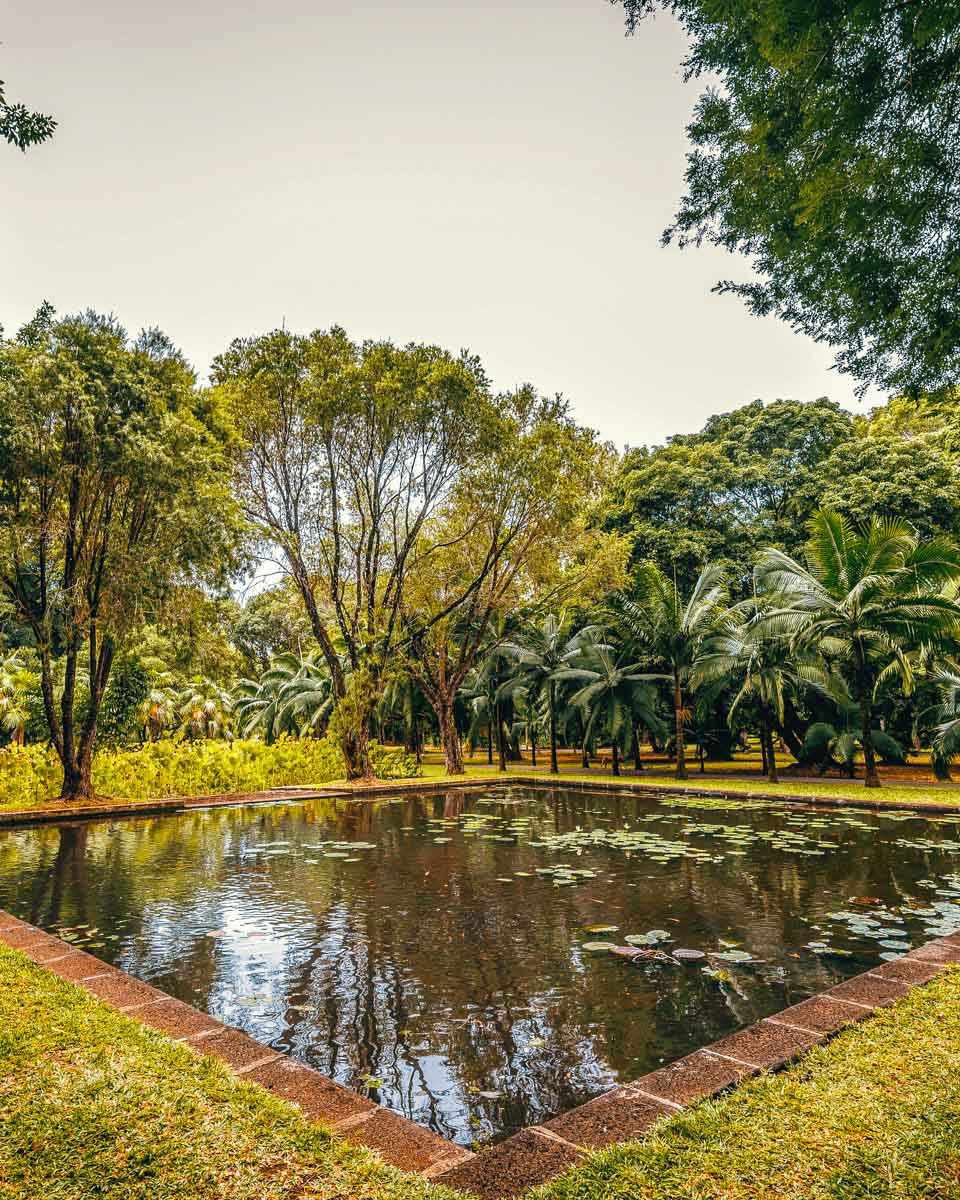 Sir Seewoosagur Ramgoolam Botanical Garden in Mauritius (2)
