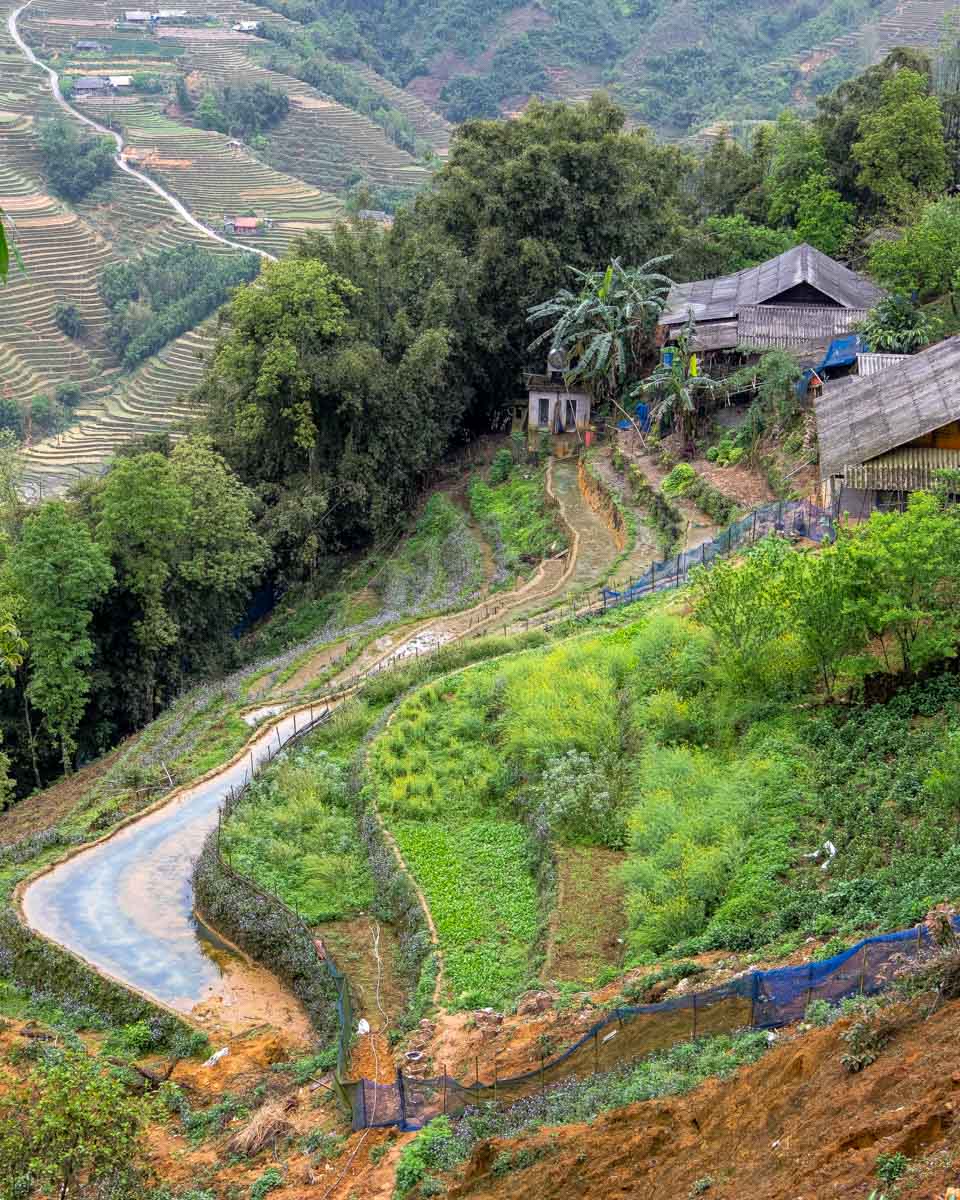 Terraced crops in the Muong Hoa Valley, Sapa Vietnam