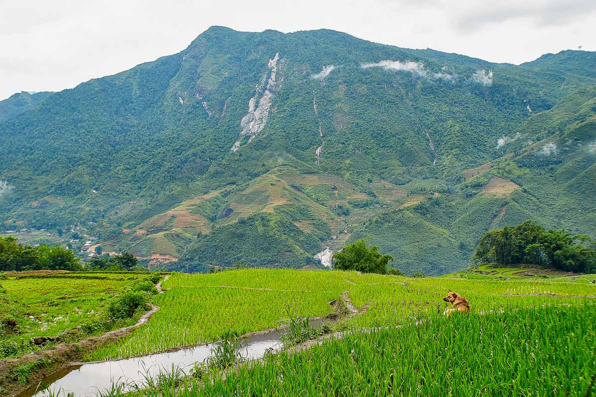 The village of Lao Chai in Sapa Vietnam