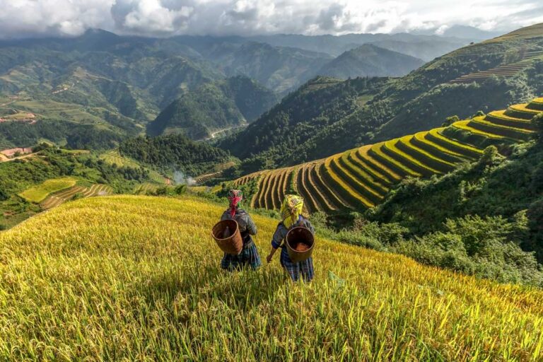 Women stand in a rice field in Sapa Vietnam