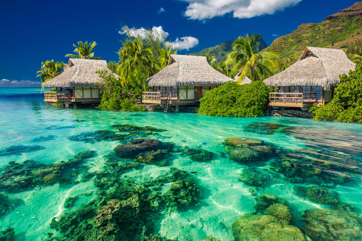 Bungalows in Moorea, French Polynesia (3)