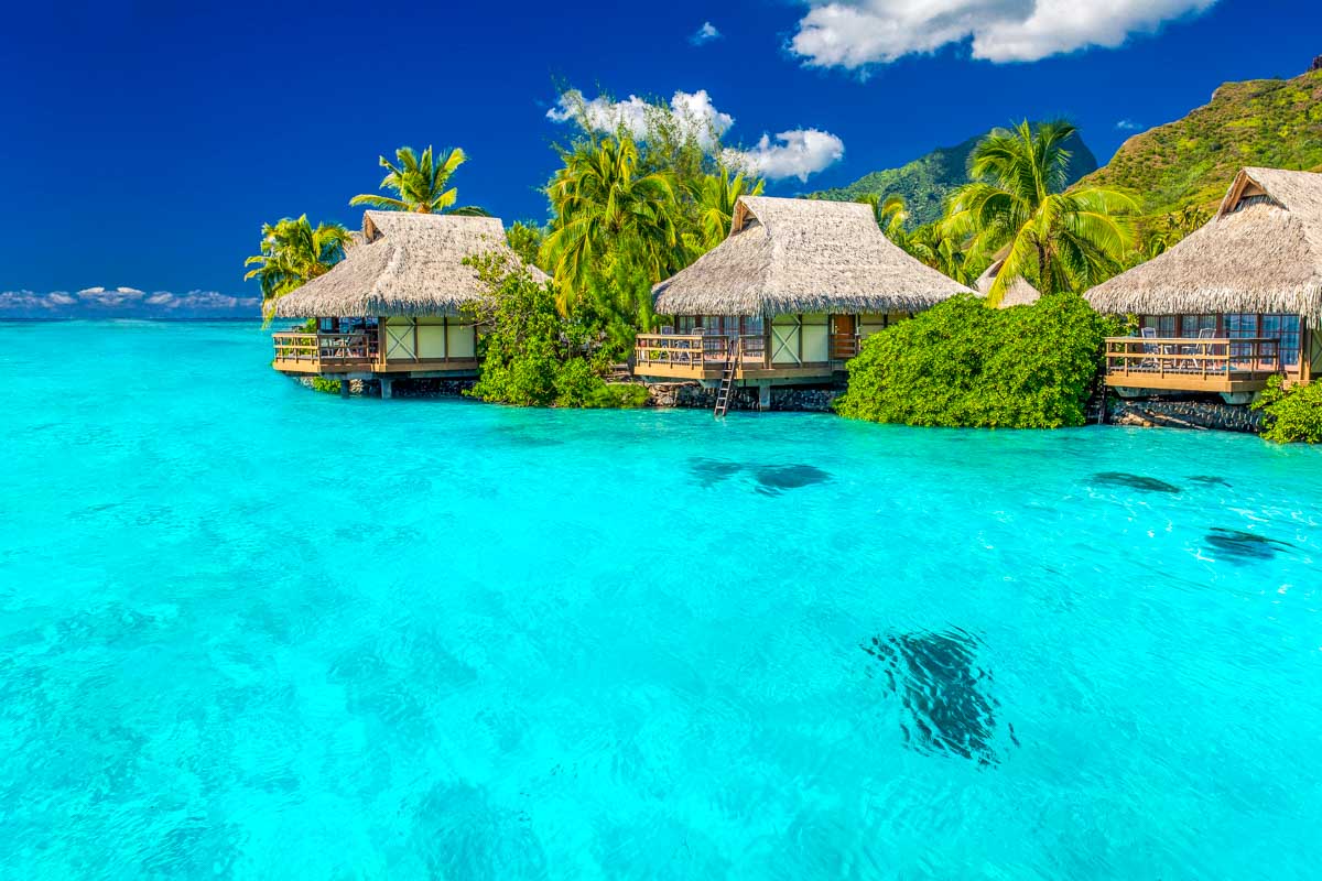 Bungalows in Moorea, French Polynesia (4)