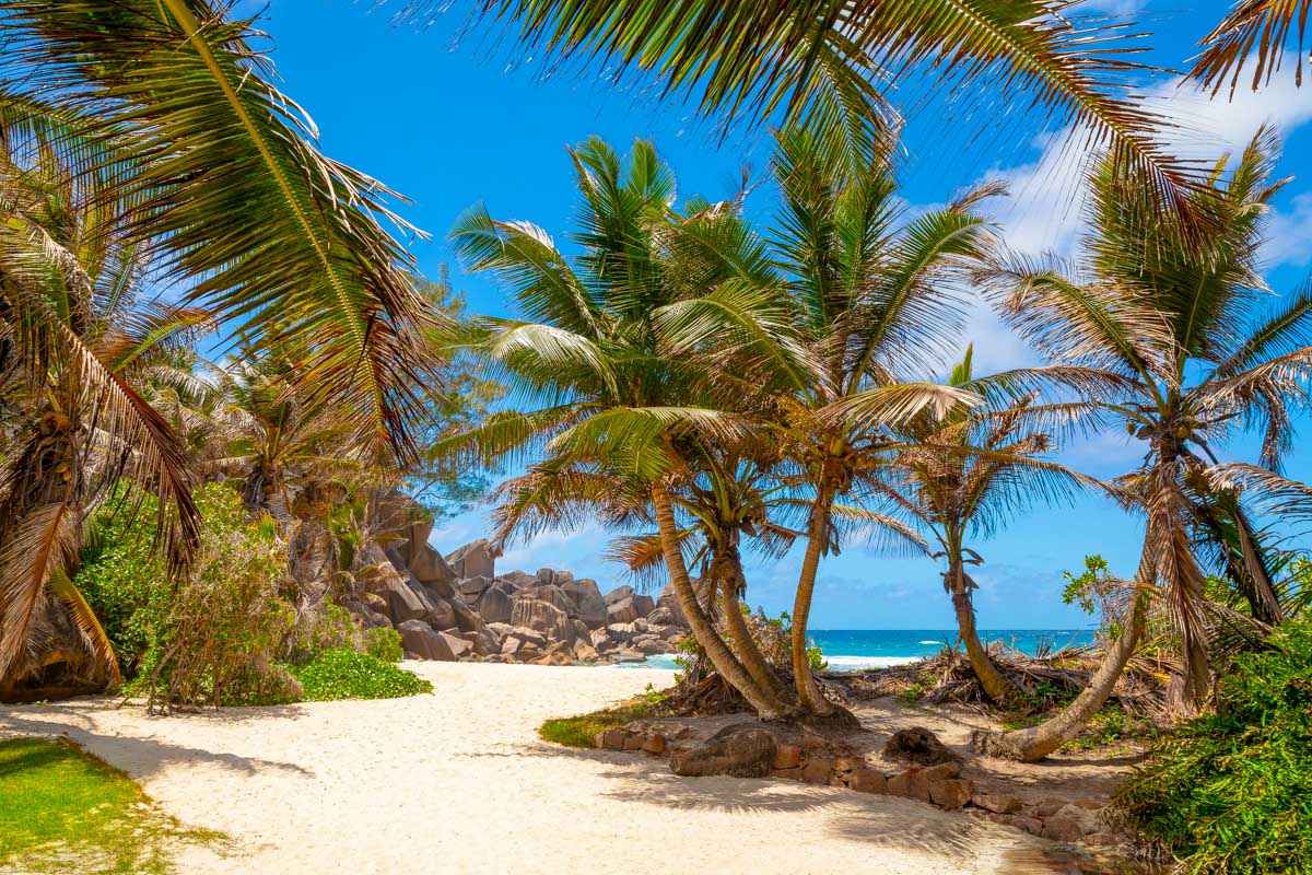 Grand Anse beach in Seychelles