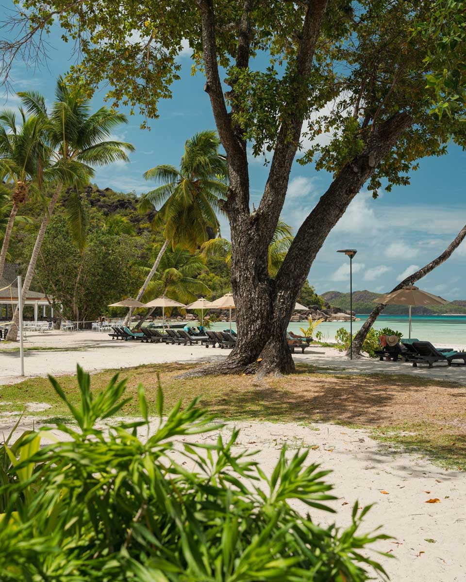 Paradise Sun Hotel Seychelles in Seychelles 1