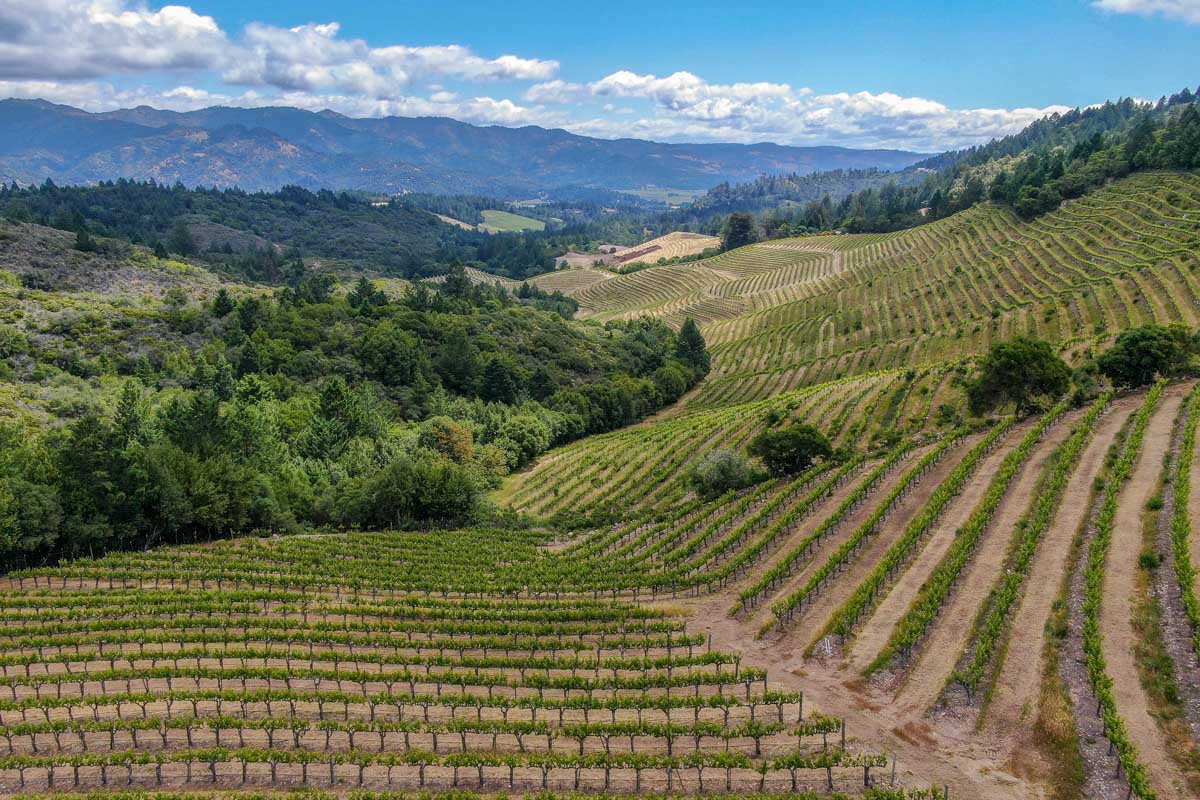 View of the Napa Valley Around St. Helena California